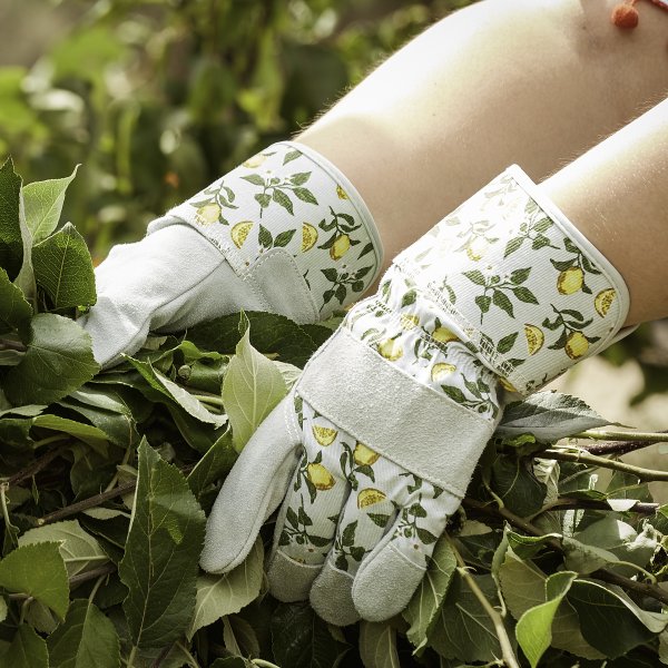 Ladies Gardening Gloves Thorn-Proof Rigger Gloves Briers Sicilian Lemon (Pack of 2)